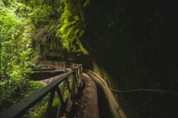 La Palma z Warszawy za 730 zł! Odkryj zieloną perełkę Kanarów!