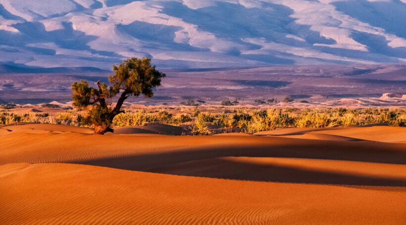 🇲🇦 Grudniowe Maroko! Leć z Gdańska do Marrakeszu liniami KLM za 701 zł!