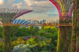 Singapur za 2281 zł! Mega okazja z bagażem rejestrowanym!
