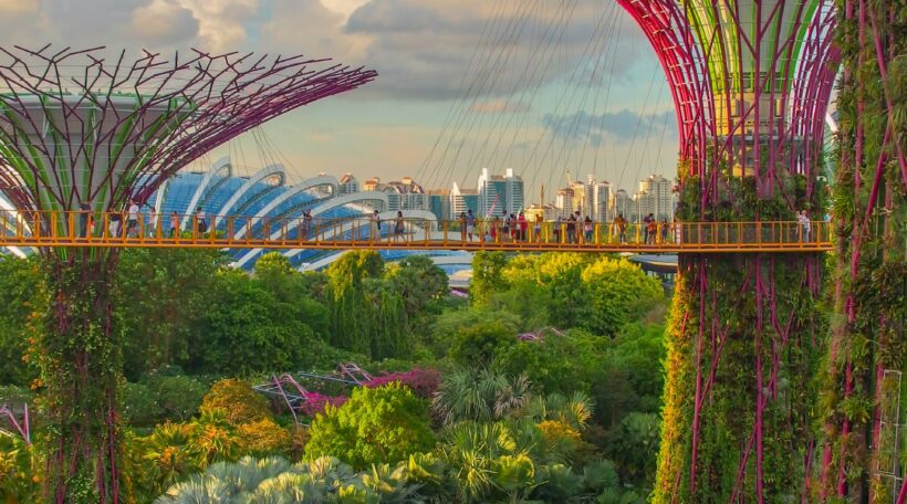 Singapur za 2281 zł! Mega okazja z bagażem rejestrowanym!