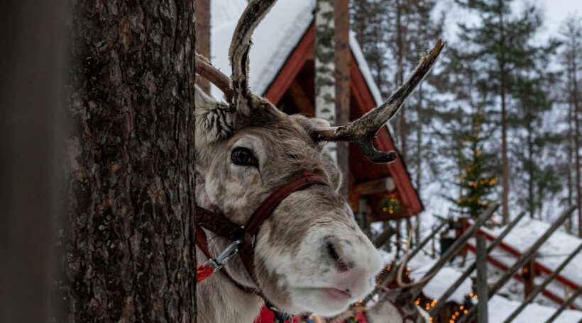 HIT! 🤩 Rovaniemi z Berlina! Poleć do krainy Świętego Mikołaja od 397 zł!