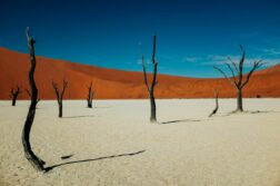 Egzotyczna podróż życia! 🤩 Namibia z pełnym bagażem już za 2470 zł w kwietniu!