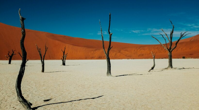 Egzotyczna podróż życia! 🤩 Namibia z pełnym bagażem już za 2470 zł w kwietniu!