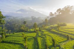 Leć na Bali z Wiednia – Indonezja czeka! Loty w dwie strony od 2463 zł