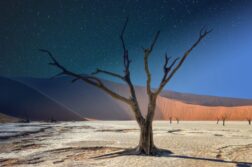 Niezwykła Namibia od 2424 zł z bagażem rejestrowanym! Safari, czerwone wydmy i krajobrazy jak z innej planety!