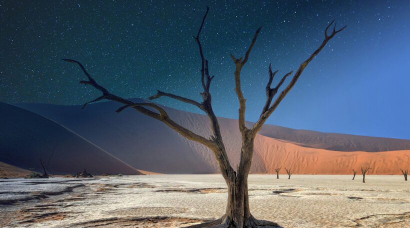 Niezwykła Namibia od 2424 zł z bagażem rejestrowanym! Safari, czerwone wydmy i krajobrazy jak z innej planety!