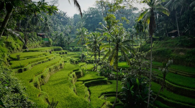 Ucieknij od jesieni! Tanie loty na egzotyczną Indonezję z Wiednia – Denpasar za 2466 zł w obie strony!