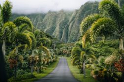 Odkryj Hawaje! Loty z Pragi do rajskiego Honolulu w wyjątkowej cenie od 3035 zł w dwie strony