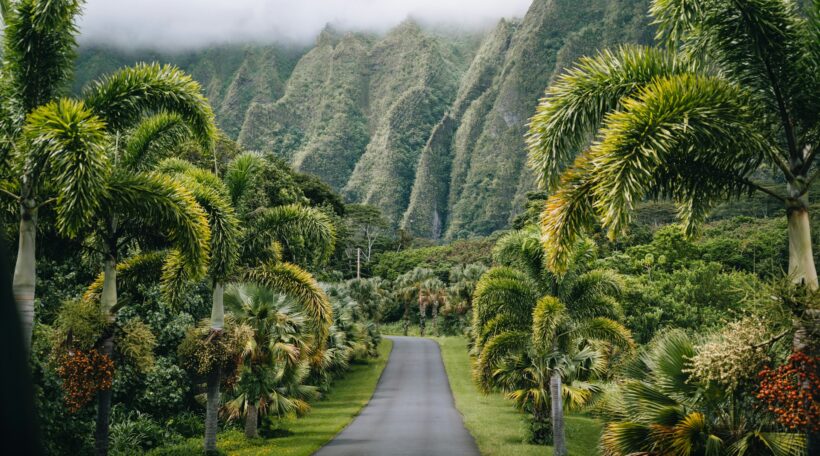 Odkryj Hawaje! Loty z Pragi do rajskiego Honolulu w wyjątkowej cenie od 3035 zł w dwie strony