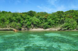 Karaiby na dowód osobisty? 🤩 Leć z Paryża na Martynikę lub Gwadelupę od 2323 zł – wiele terminów w sezonie!
