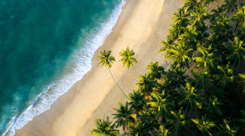 Sri Lanka w listopadzie! 🤩 Egzotyczna podróż już od 2099 zł z Pragi lub Wiednia – rajskie plaże i plantacje herbaty!
