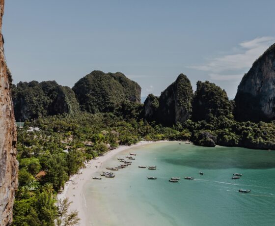 Krabi z Warszawy Etiha...
