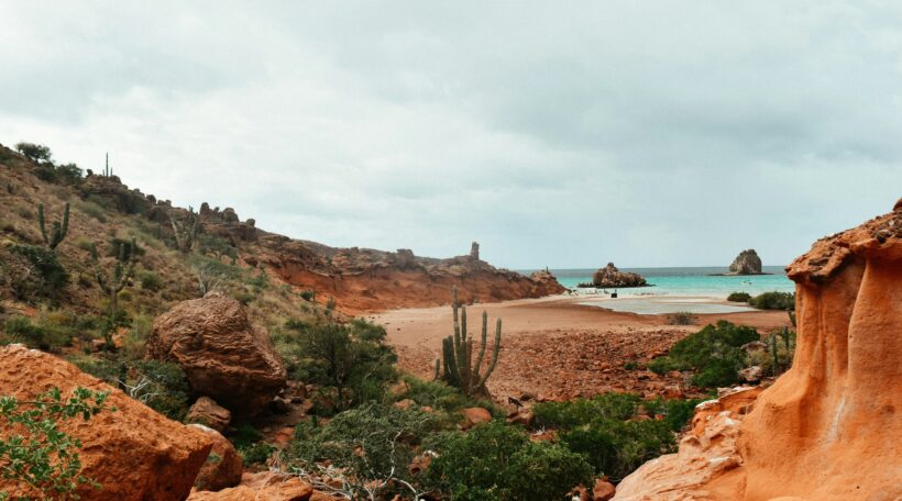 Meksykańska Baja California 🔥🌴 Leć z Wiednia do Los Cabos za 2702 zł!
