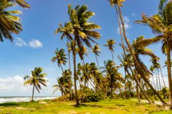 Karaibski raj w zasięgu ręki! Trynidad i Tobago w świetnej cenie 2520zł! 🌴🔥