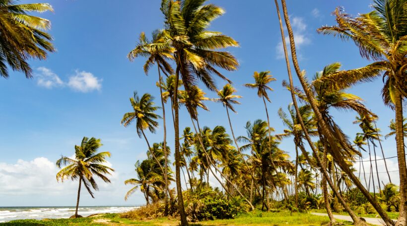 Karaibski raj w zasięgu ręki! Trynidad i Tobago w świetnej cenie 2520zł! 🌴🔥