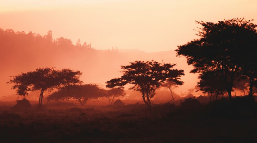 Niesamowita Rwanda czeka! Loty z Wiednia do Kigali od 2115 zł 🔥