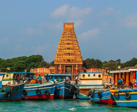 Egzotyczna Sri Lanka c...